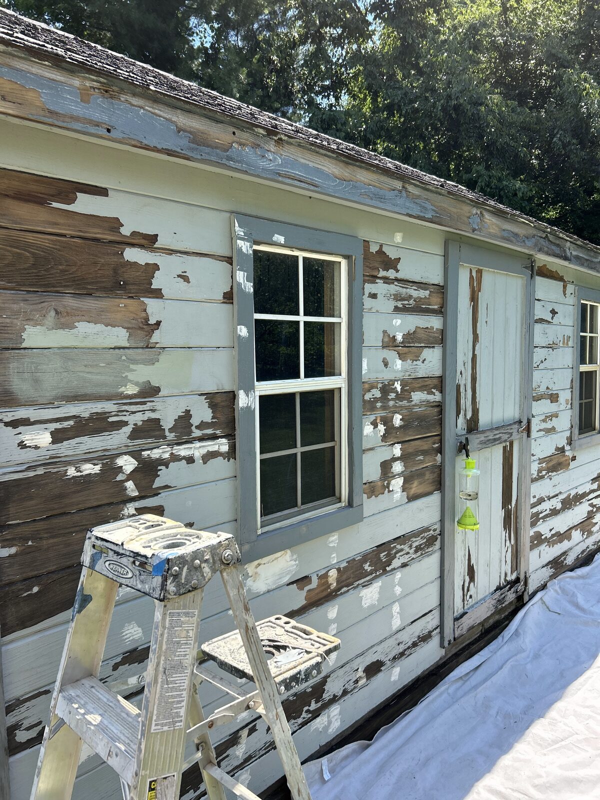 Backyard shed repaint — before